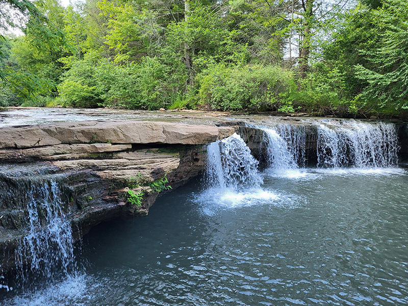 Albert Falls