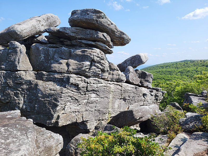 Bear Rocks Preserve