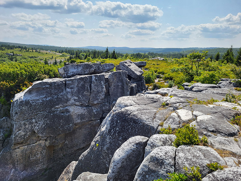 Bear Rocks Preserve