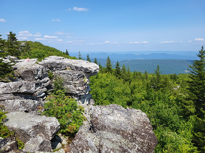 Bear Rocks Preserve