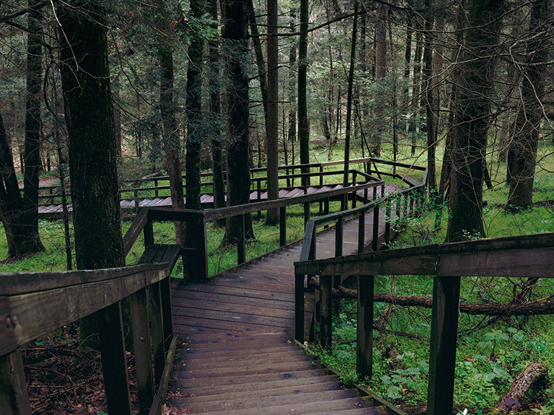 Conkle's Hollow.