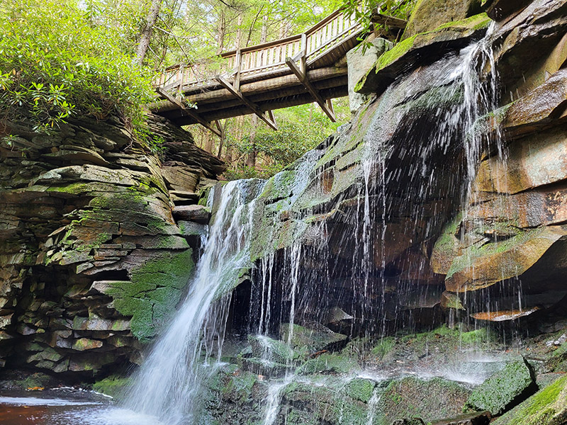 Elakala Falls