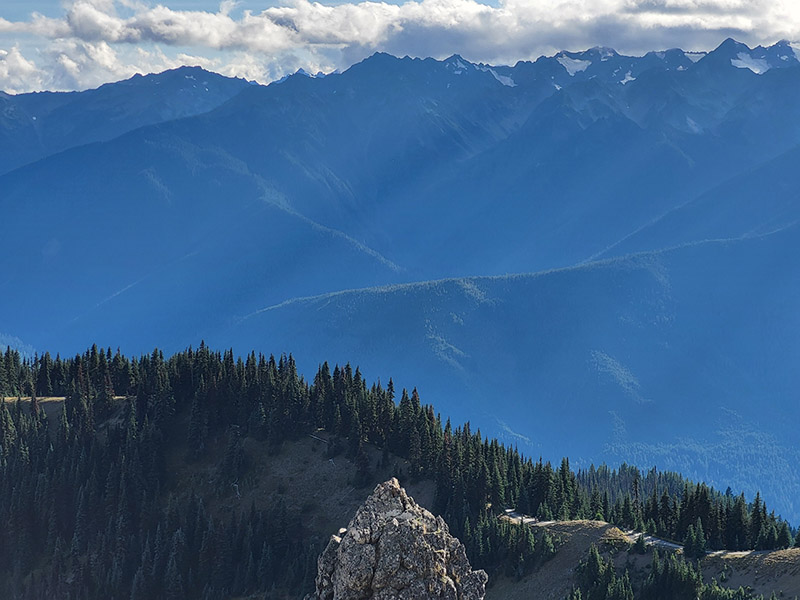 Hurricane Ridge