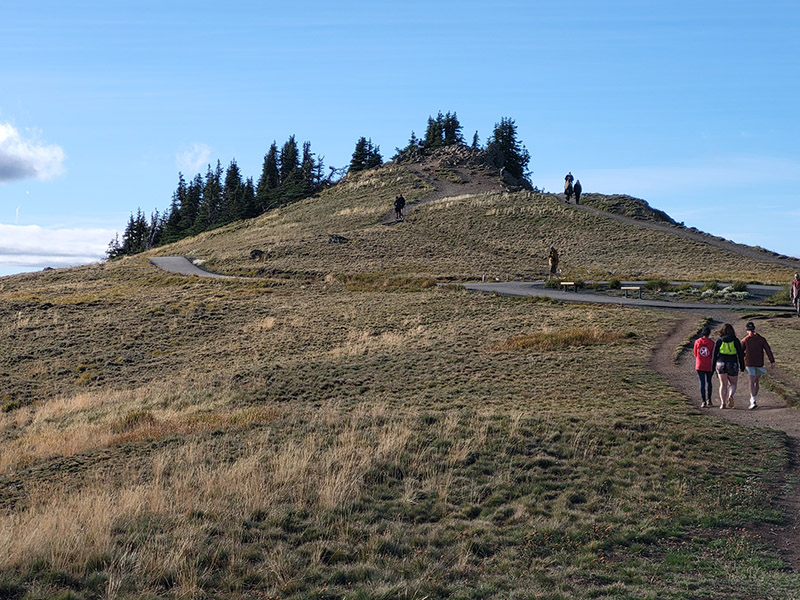 Hurricane Ridge summit