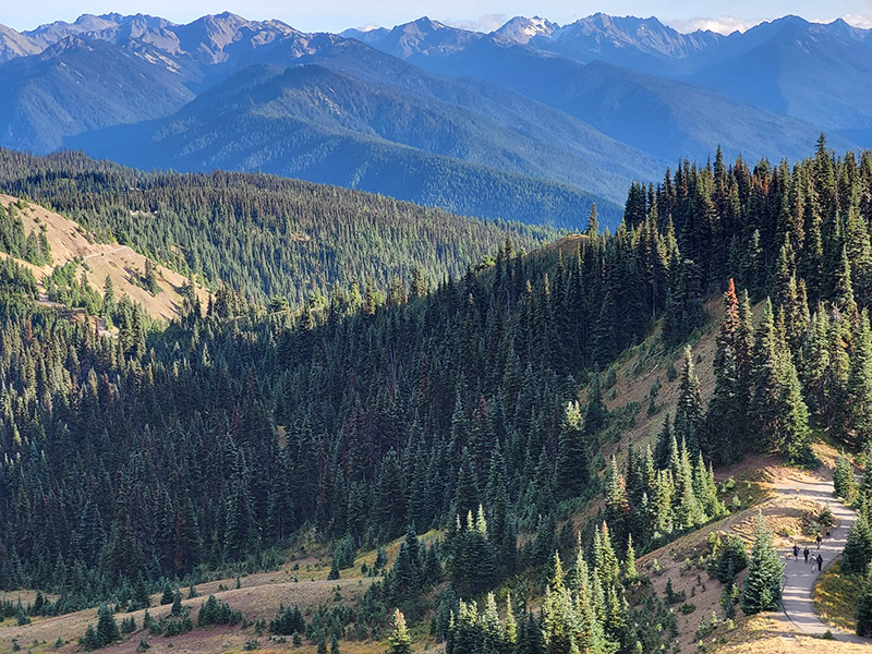 Hurricane Ridge