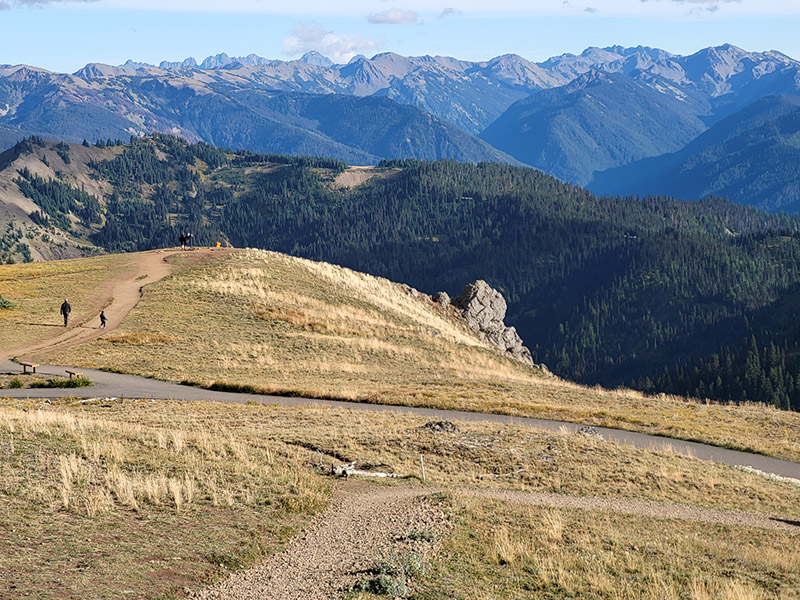 Hurricane Ridge