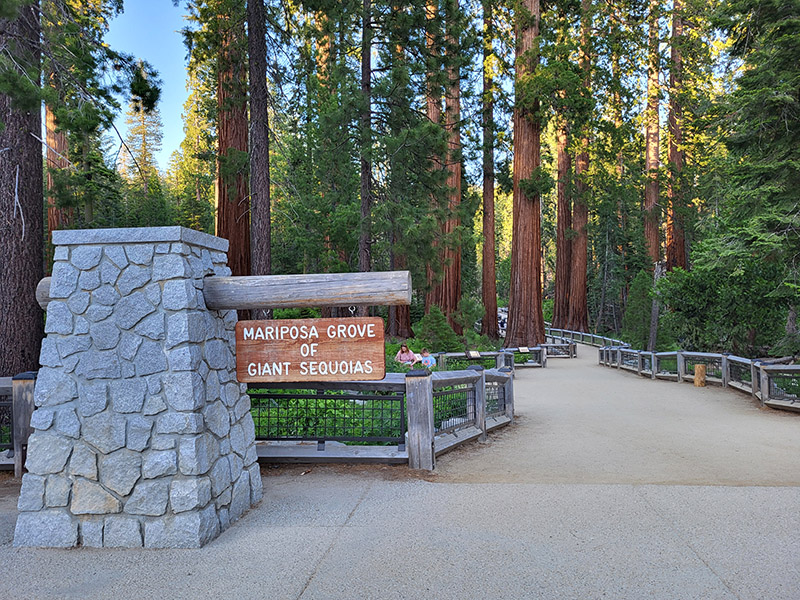 Mariposa Grove of Giant Sequoias entrance