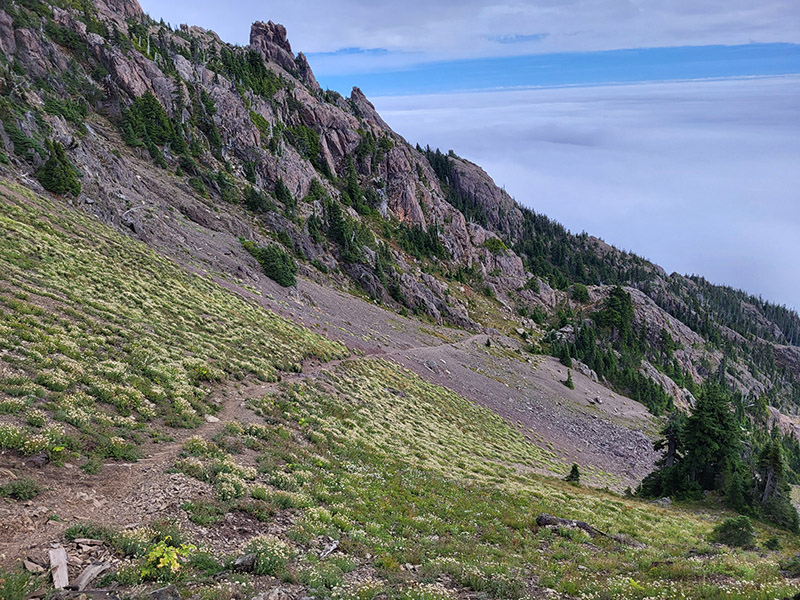 Mount Ellinor staircase