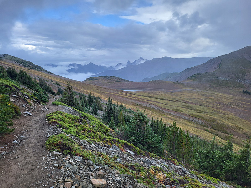 Mount Fremont Lookout Trail