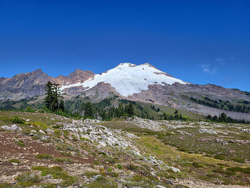 View of Mount Baker at Park Butte