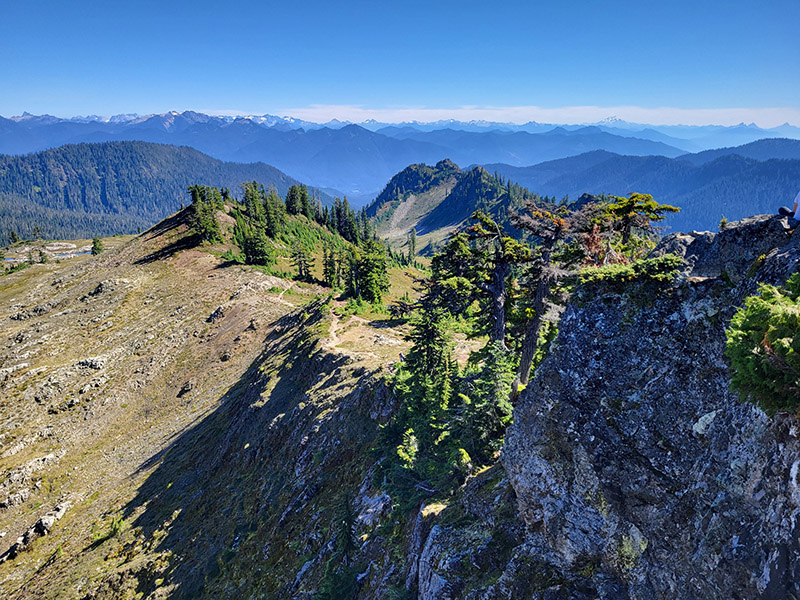 View from the fire tower at Park Butte