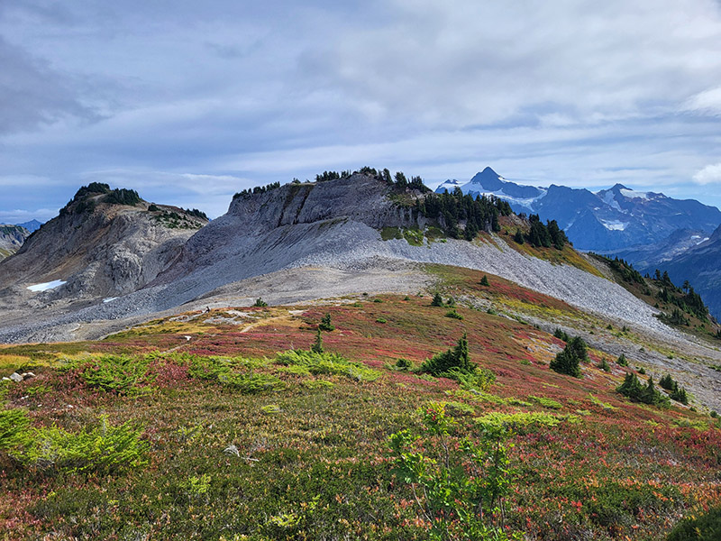 Ptarmigan Ridge