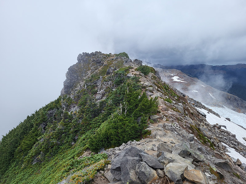 Ptarmigan Ridge