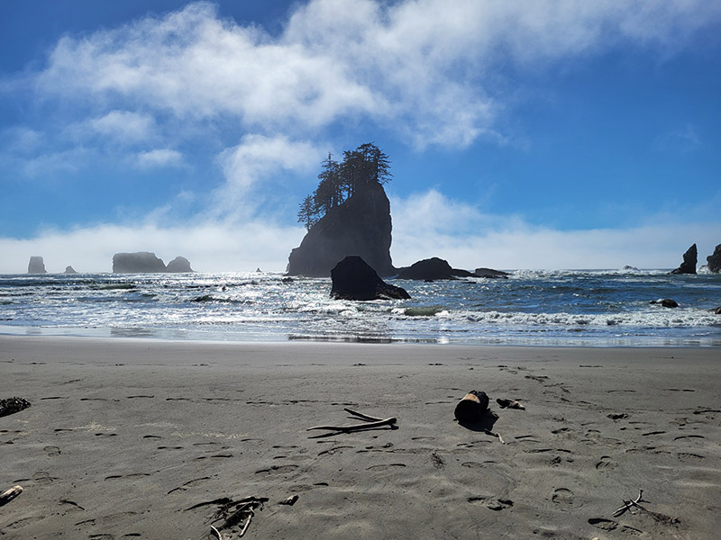 Fog at Second Beach