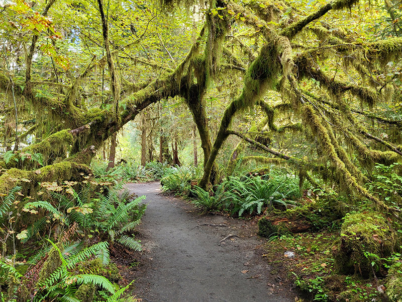 Spruce Nature Trail