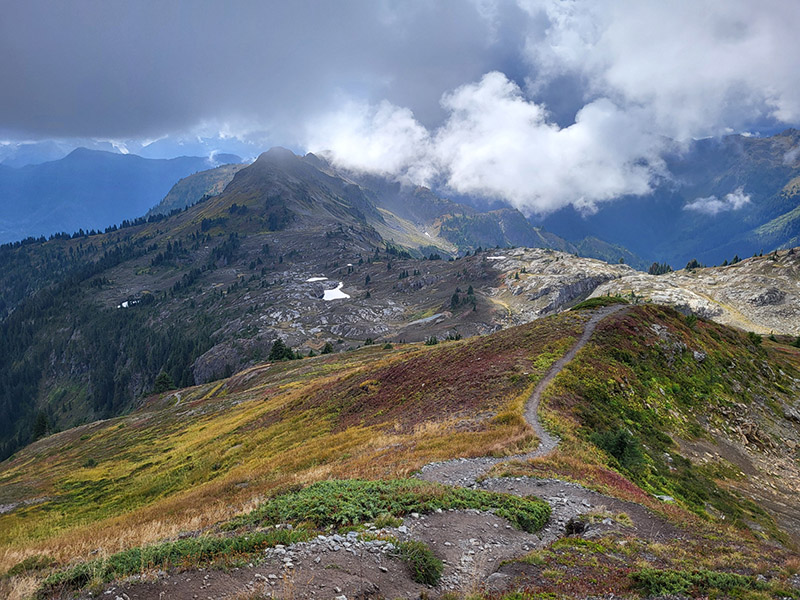 Yellow Aster Butte