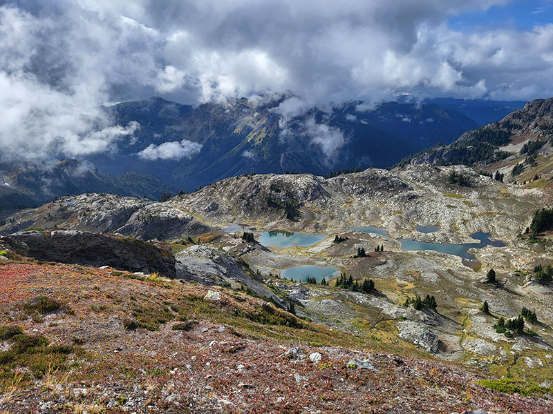 Yellow Aster Butte