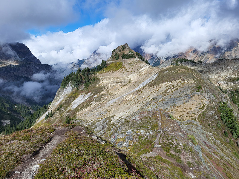 Yellow Aster Butte