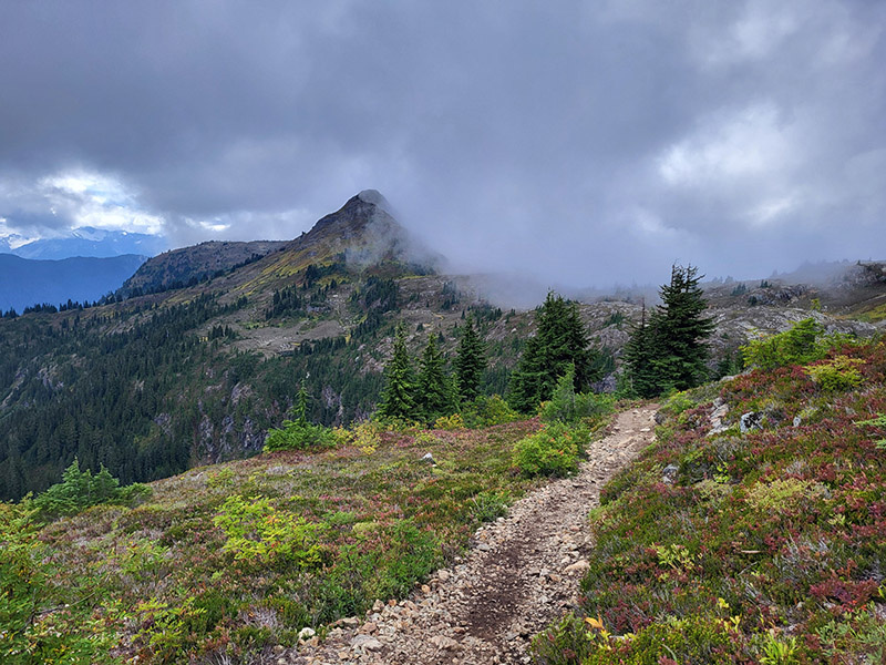 Yellow Aster Butte