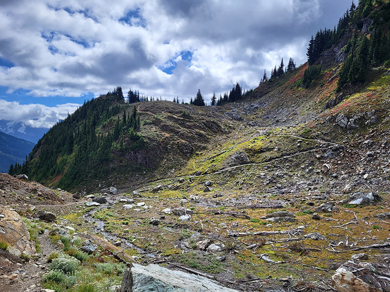 Yellow Aster Butte