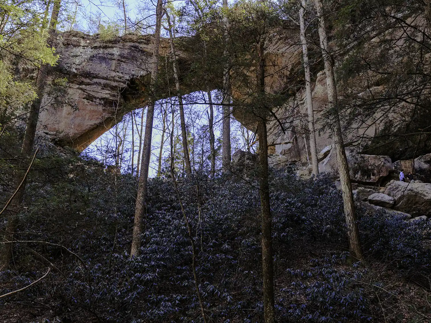 Gray's Arch towers over the trail at Red River Gorge.