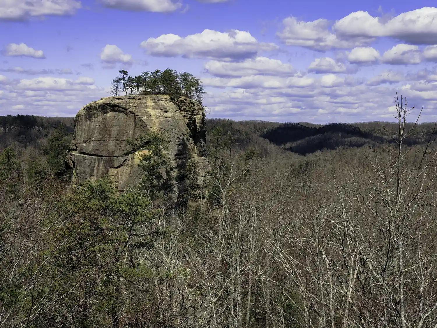 Courthouse Rock seen from Auxier Ridge in Red River Gorge, Kentucky on a partly cloudy day.