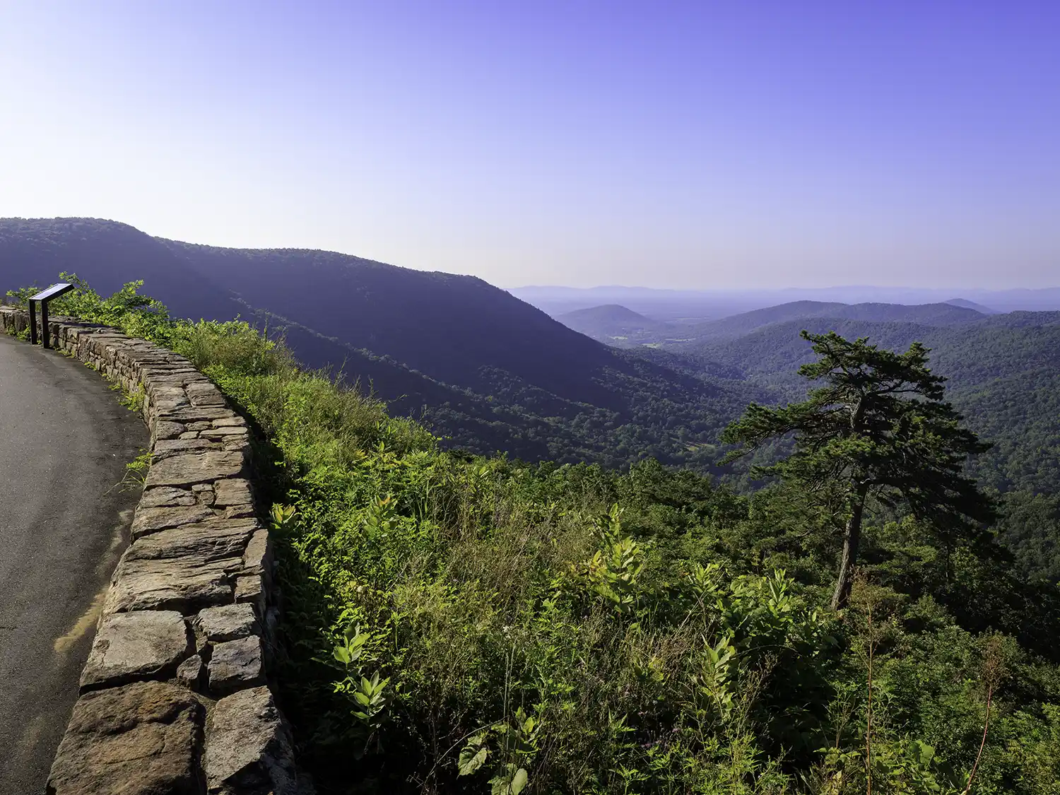 Rolling mountains in the distance at Bacon Hollow Overlook, Shenandoah National Park